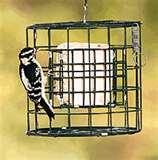 Bird Feeders Squirrel-resistant pictures Bird Feeders Squirrel-resistant pictures