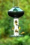 Bird Feeders Squirrel-resistant pictures