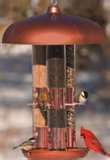 Bird Feeder Crow Proof photos Bird Feeder Crow Proof photos
