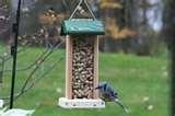 Bird Feeder Type Food images