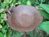 images of Bird Feeder Sydney images of Bird Feeder Sydney