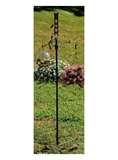 images of Bird Feeder Mp3 images of Bird Feeder Mp3