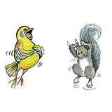 Bird Feeders Squirrel-resistant photos Bird Feeders Squirrel-resistant photos