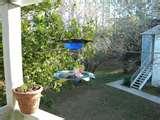 Bird Feeder George images Bird Feeder George images