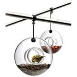 pictures of Bird Feeder Eva Solo pictures of Bird Feeder Eva Solo