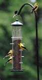 images of Bird Feeders Rain