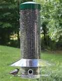 Bird Feeders Rain pictures