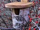 Bird Feeders Nesting Boxes Bird Feeders Nesting Boxes