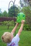 Bird Feeders Rain images