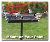 Bird Feeders Rain pictures Bird Feeders Rain pictures