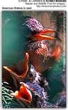 Bird Feeders Nesting Boxes images Bird Feeders Nesting Boxes images