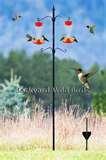 Oriole Bird Feeder Hummingbird Feeders Oriole Bird Feeder Hummingbird Feeders