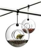 Bird Feeder Eva Solo pictures Bird Feeder Eva Solo pictures