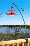 Oriole Bird Feeder Hummingbird Feeders images Oriole Bird Feeder Hummingbird Feeders images