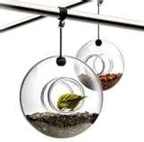 Bird Feeder Eva Solo