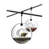 Bird Feeder Eva Solo pictures Bird Feeder Eva Solo pictures
