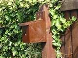 Bird Feeders Nesting Boxes pictures Bird Feeders Nesting Boxes pictures