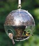 photos of Bird Feeders Rain