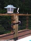 Bird Feeder Black