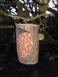 images of Bird Feeders Boxes