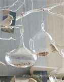 pictures of Bird Feeder Rice Cake pictures of Bird Feeder Rice Cake