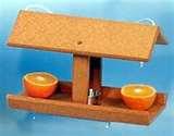Bird Feeder Rice Cake images Bird Feeder Rice Cake images