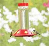 Oriole Bird Feeder Hummingbird Feeders pictures Oriole Bird Feeder Hummingbird Feeders pictures