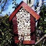 images of Bird Feeders Nesting Boxes