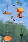 Oriole Bird Feeder Hummingbird Feeders pictures Oriole Bird Feeder Hummingbird Feeders pictures