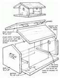 pictures of Bird Feeders Small Birds Plans