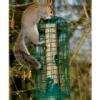 Bird Feeders Guardian Bird Feeders Guardian