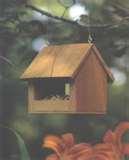 Bird Feeders Small Birds Plans pictures Bird Feeders Small Birds Plans pictures