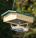 pictures of Bird Feeders Suet