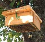 images of Bird Feeders Suet