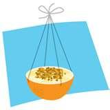 Bird Feeder Birds Identify images Bird Feeder Birds Identify images