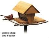 pictures of Bird Feeders Building Plans