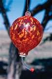images of Hummingbird Feeder Mix images of Hummingbird Feeder Mix