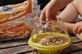 How To Make A Bird Feeder Youtube photos How To Make A Bird Feeder Youtube photos