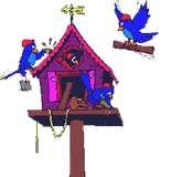 Bird Feeders Avian Flu Bird Feeders Avian Flu