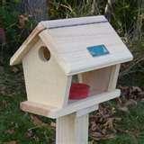 Bird Feeders Small Birds Plans images