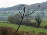How To Make A Bird Feeder Youtube How To Make A Bird Feeder Youtube