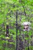 Backyard Bird Feeders Setups images