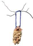 photos of Bird Feeders Activities Kids photos of Bird Feeders Activities Kids