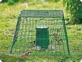 images of Bird Feeders Guardian images of Bird Feeders Guardian
