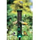 images of Bird Feeder Nyjer Seed images of Bird Feeder Nyjer Seed