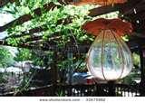 Bird Feeder American pictures Bird Feeder American pictures