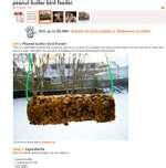 Bird Feeder Peanut Butter images