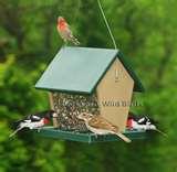 photos of Bird Feeders From Recycled Items