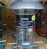 Bird Feeder Nyjer Seed images Bird Feeder Nyjer Seed images