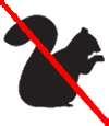Bird Feeders That Flying Squirrels Bird Feeders That Flying Squirrels